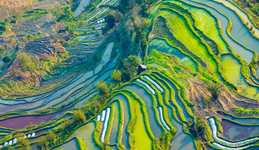 宝妈必备神器：鸡冠区产品视频拍摄轻松育儿好帮手
