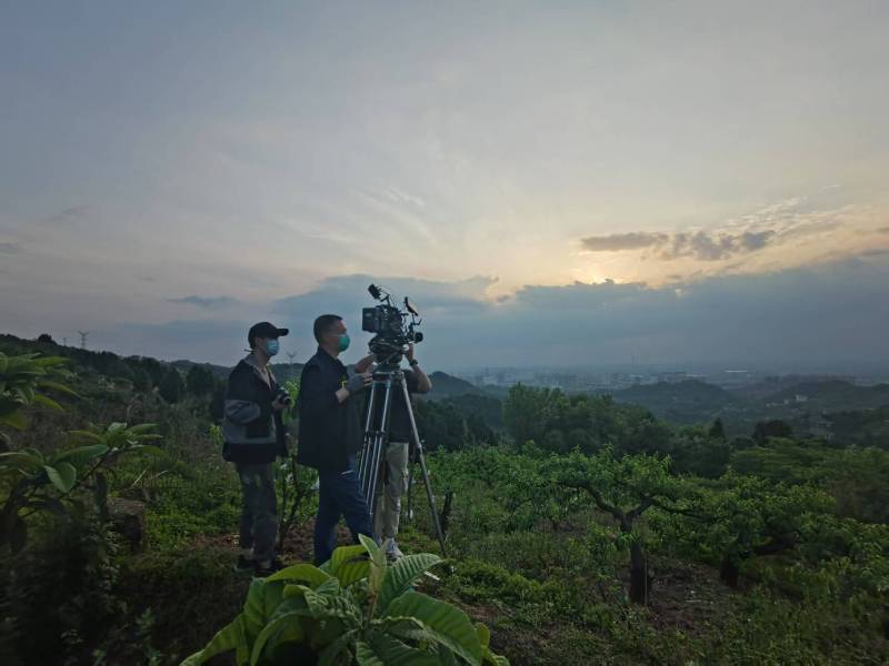 创意破圈！鸡冠区电商产品宣传视频用故事化叙事引爆流量