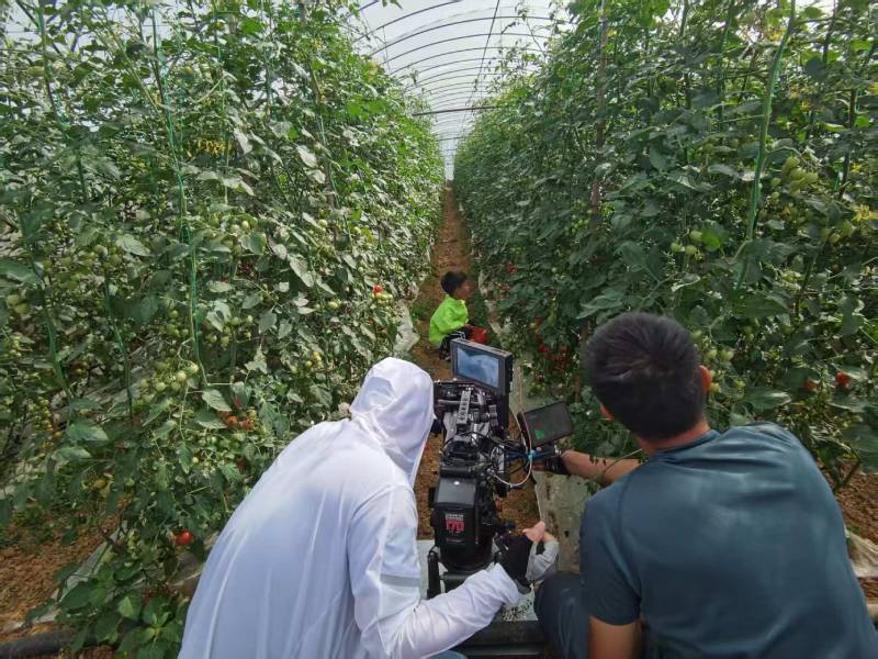 鸡冠区产品宣传视频拍摄公司进阶指南，助力品牌抢占传播高地